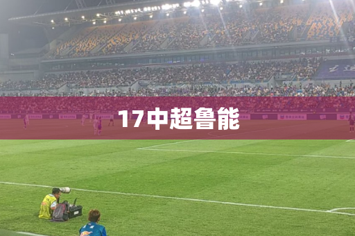 17中超鲁能 17中超鲁能