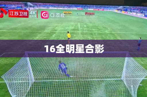 16全明星合影