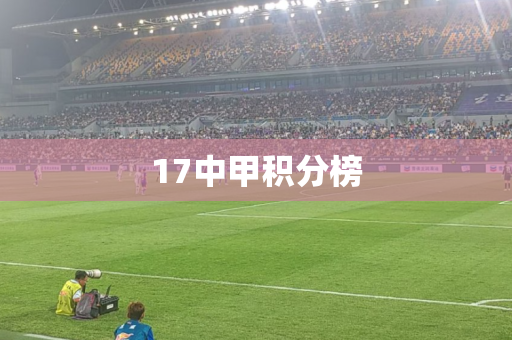17中甲积分榜