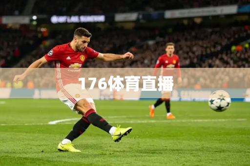 176体育直播