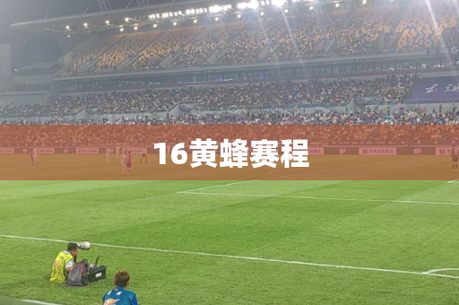 16黄蜂赛程 16黄蜂赛程