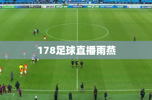 178足球直播雨燕
