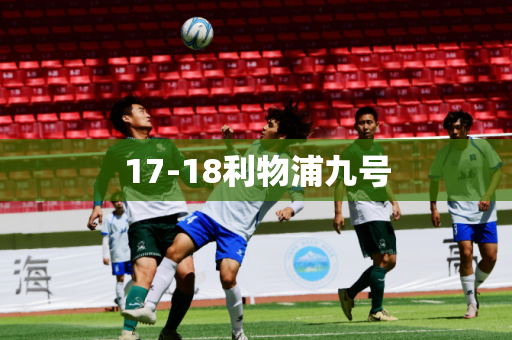 17-18利物浦九号