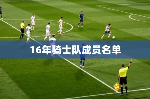 16年骑士队成员名单