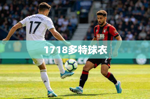 1718多特球衣