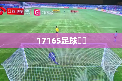 17165足球頰測