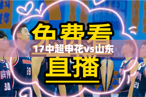 17中超申花vs山东