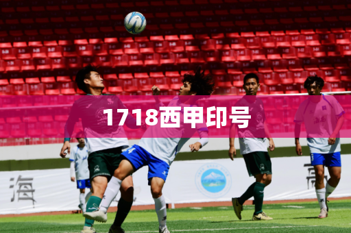 1718西甲印号 1718西甲印号