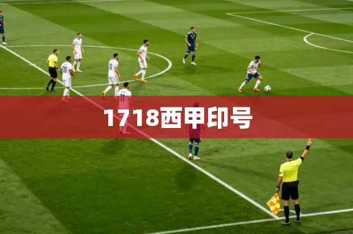 1718西甲印号