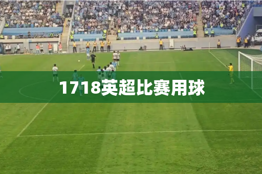 1718英超比赛用球 1718英超比赛用球