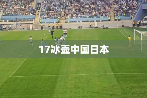17冰壶中国日本 17冰壶中国日本