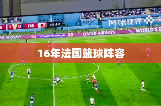 16年法国篮球阵容 16年法国篮球阵容