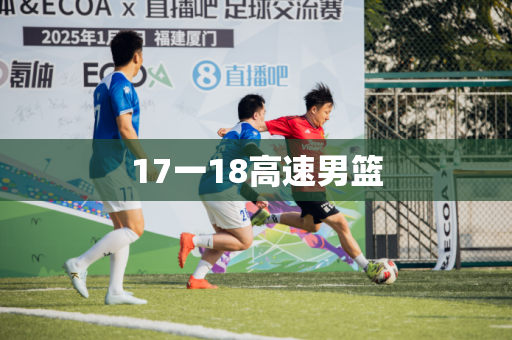 17一18高速男篮