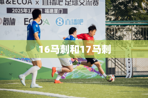 16马刺和17马刺 16马刺和17马刺