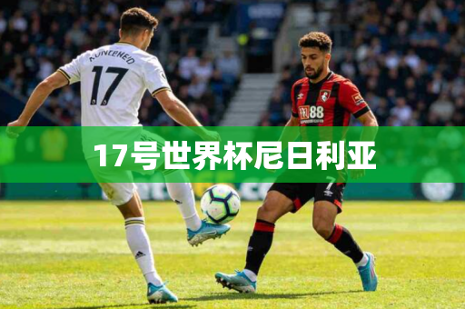 17号世界杯尼日利亚