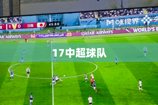 17中超球队