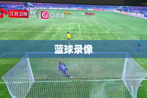 蓝球录像