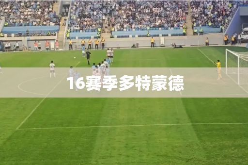 16赛季多特蒙德 16赛季多特蒙德
