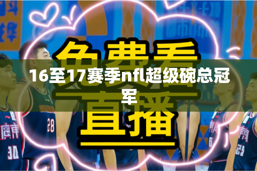 16至17赛季nfl超级碗总冠军