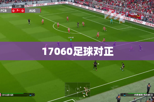 17060足球对正