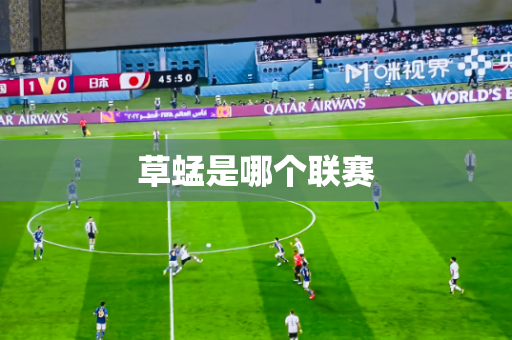 草蜢是哪个联赛