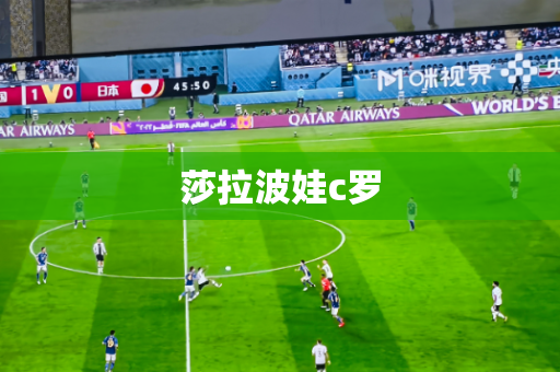 莎拉波娃c罗