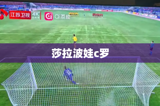 莎拉波娃c罗