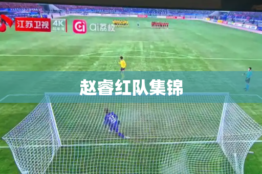 赵睿红队集锦 赵睿红队集锦