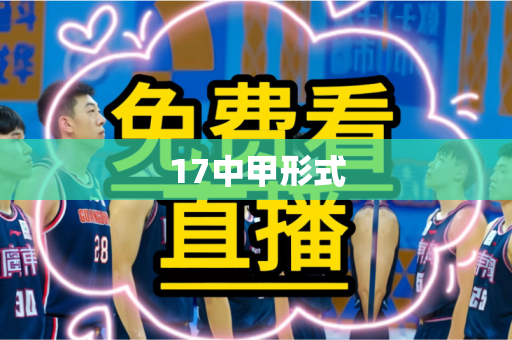 17中甲形式