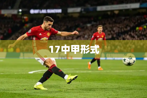 17中甲形式
