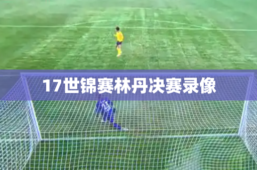 17世锦赛林丹决赛录像