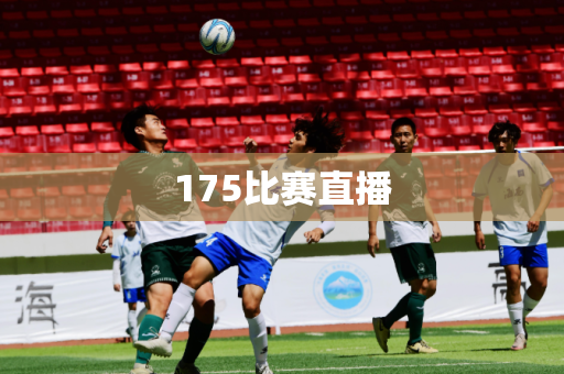 175比赛直播