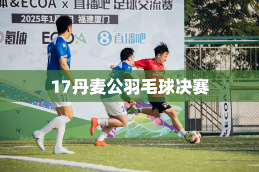 17丹麦公羽毛球决赛 17丹麦公羽毛球决赛