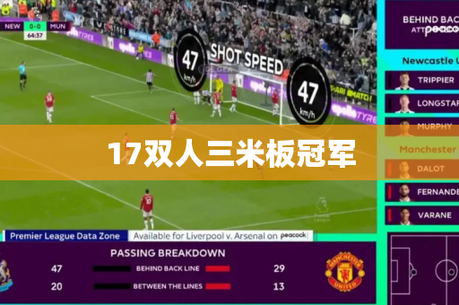 17双人三米板冠军 17双人三米板冠军
