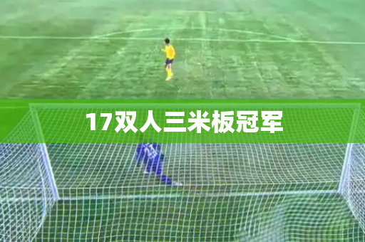 17双人三米板冠军 17双人三米板冠军