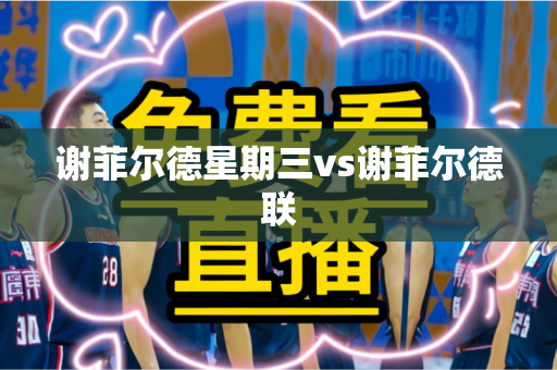 谢菲尔德星期三vs谢菲尔德联