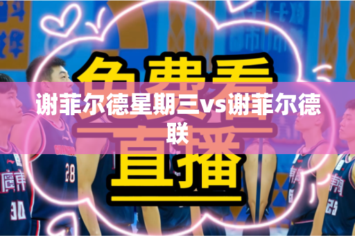 谢菲尔德星期三vs谢菲尔德联