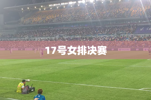 17号女排决赛