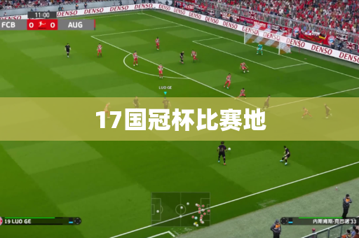 17国冠杯比赛地 17国冠杯比赛地