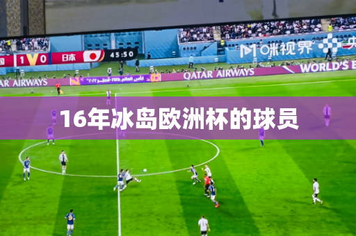 16年冰岛欧洲杯的球员 16年冰岛欧洲杯的球员