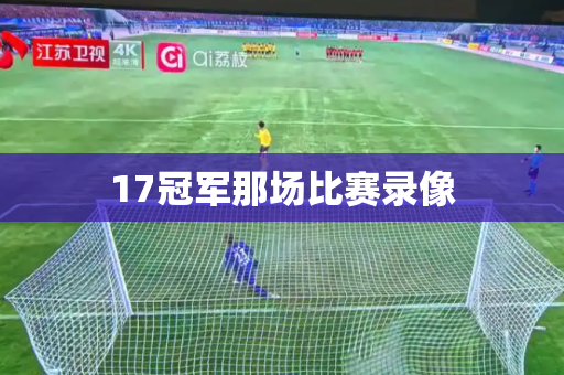 17冠军那场比赛录像