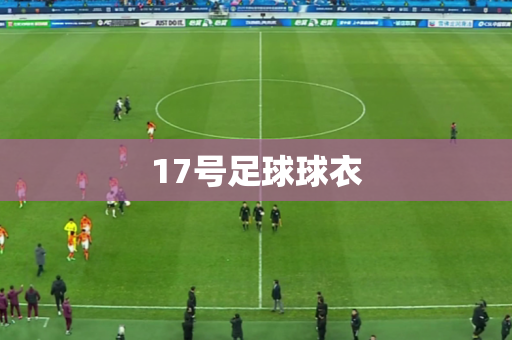 17号足球球衣 17号足球球衣