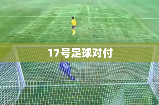17号足球对付