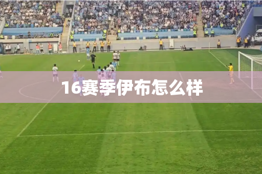 16赛季伊布怎么样