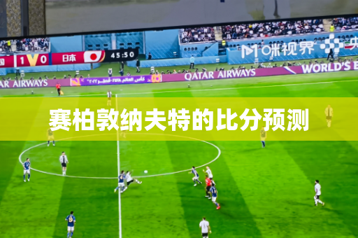 赛柏敦纳夫特的比分预测 赛柏敦纳夫特的比分预测