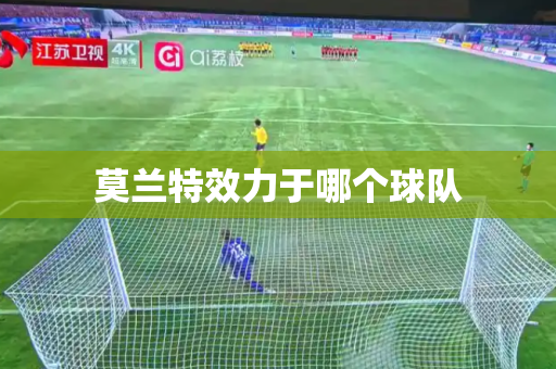 莫兰特效力于哪个球队 莫兰特效力于哪个球队