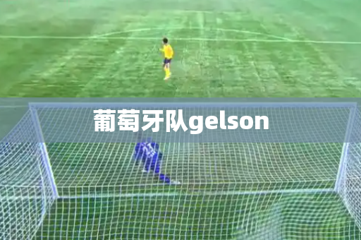 葡萄牙队gelson 葡萄牙队gelson