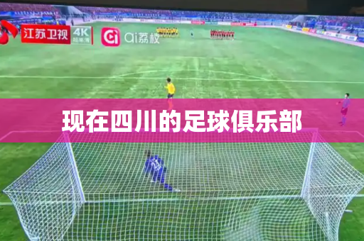 现在四川的足球俱乐部