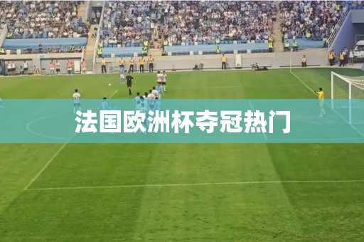 法国欧洲杯夺冠热门 法国欧洲杯夺冠热门