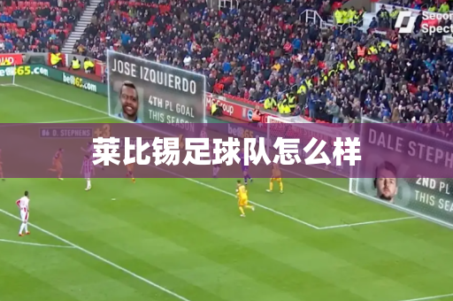 莱比锡足球队怎么样